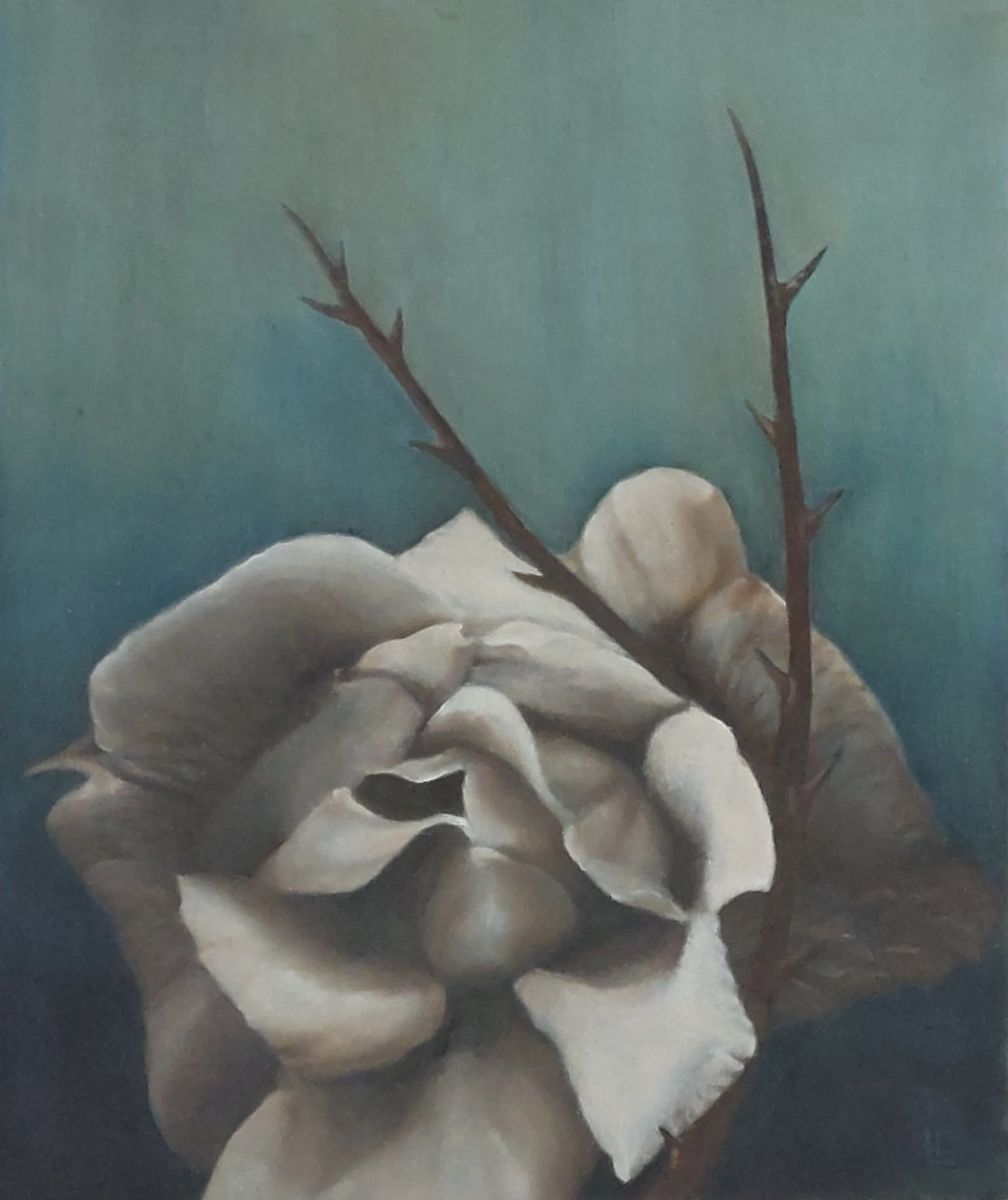 blaue blume